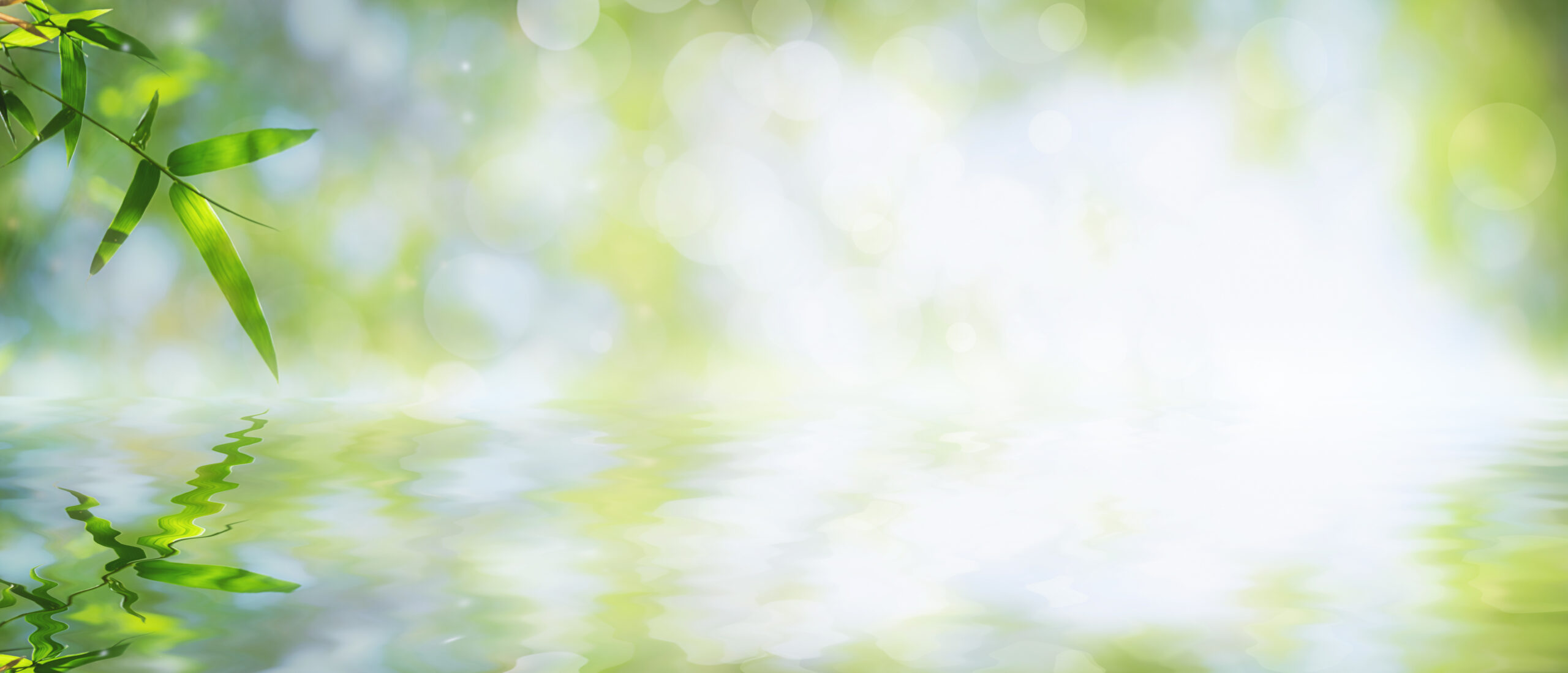 Mindfulness & Financial Stress
